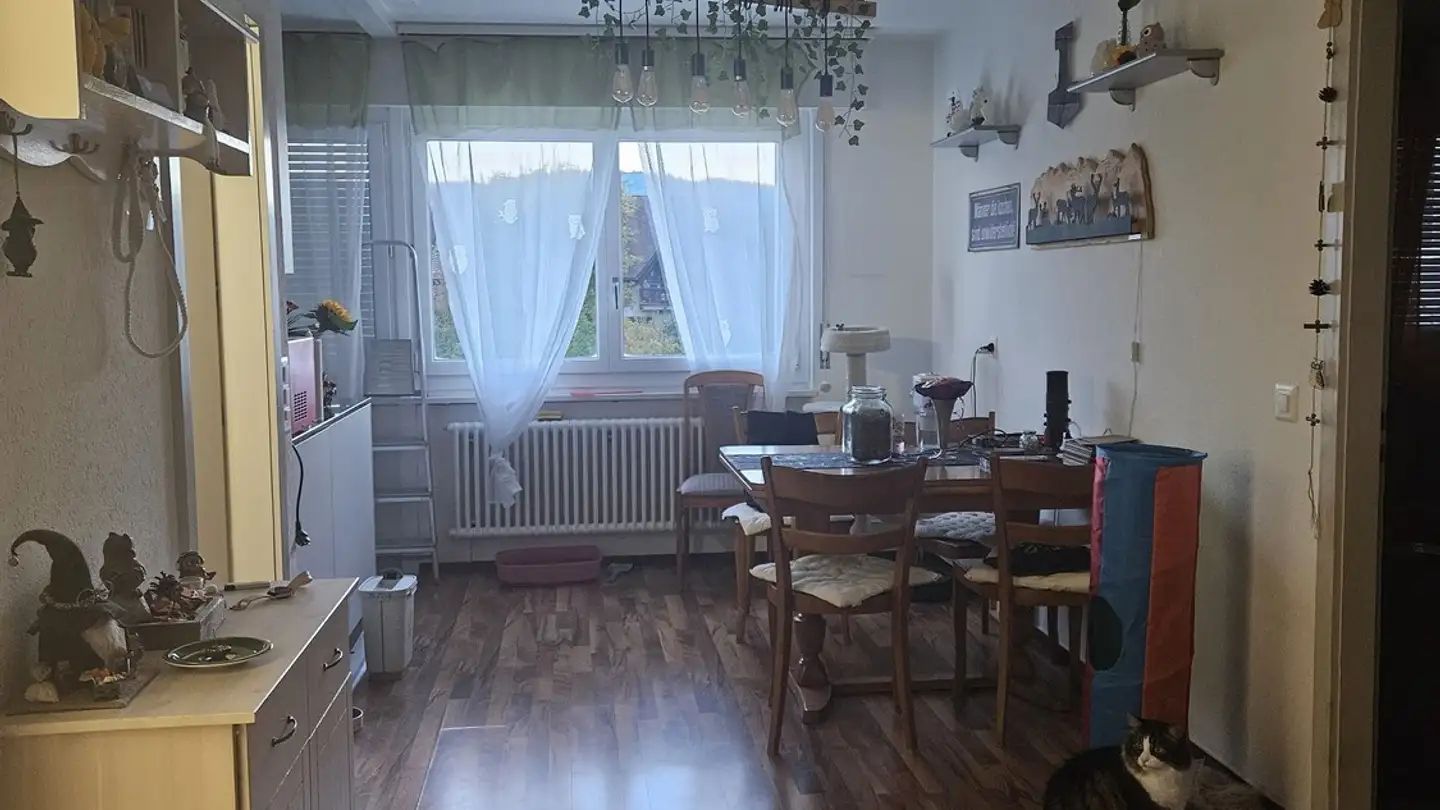 Chambre à louer - Neugut 9, 3280 Murten