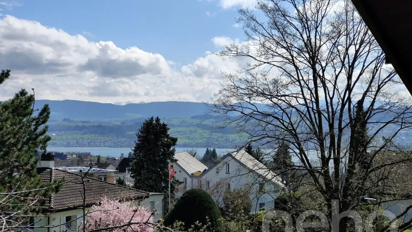 Attique à vendre - 8704 Herrliberg