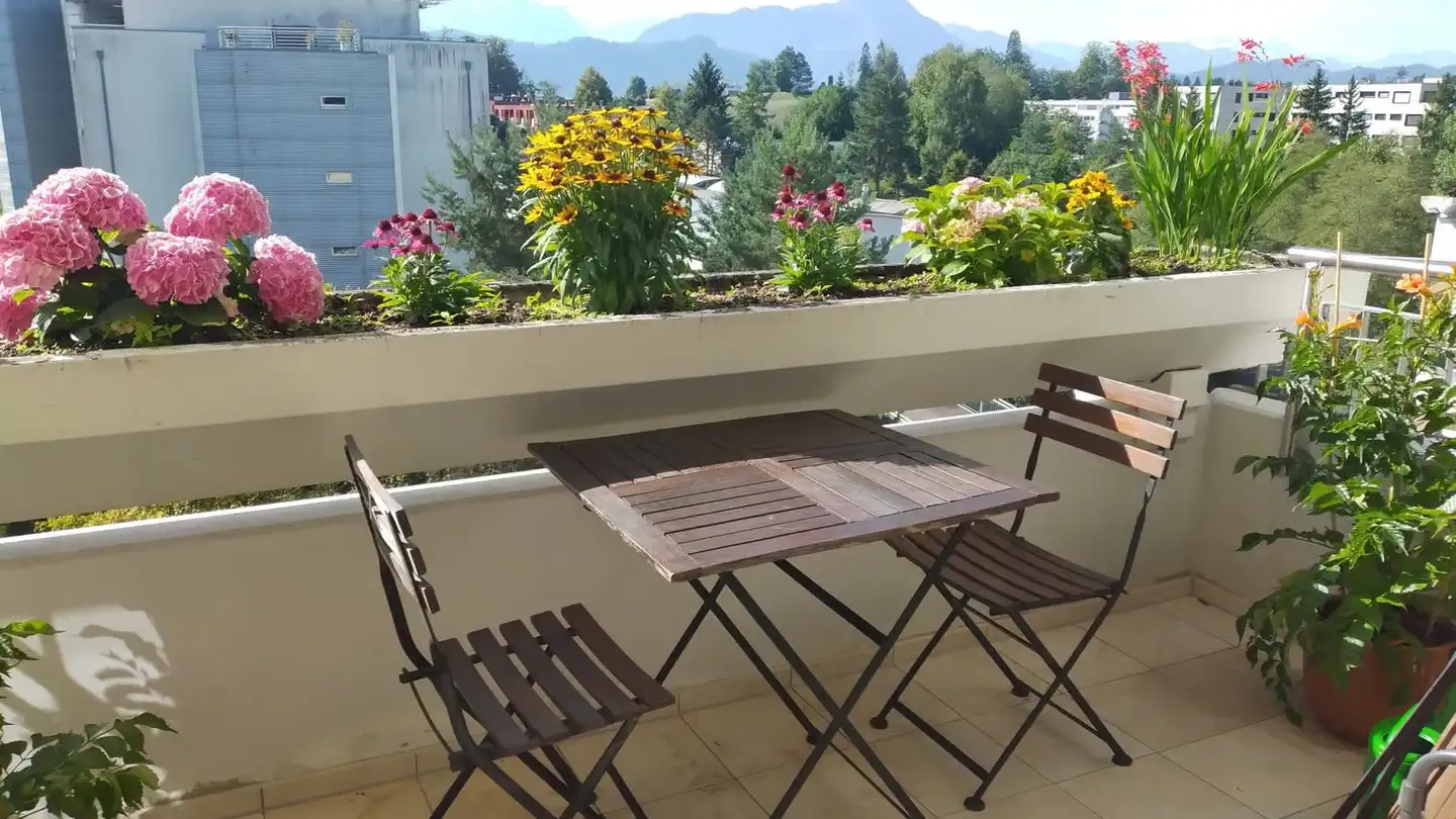 Wohnung mieten - 6006 Luzern