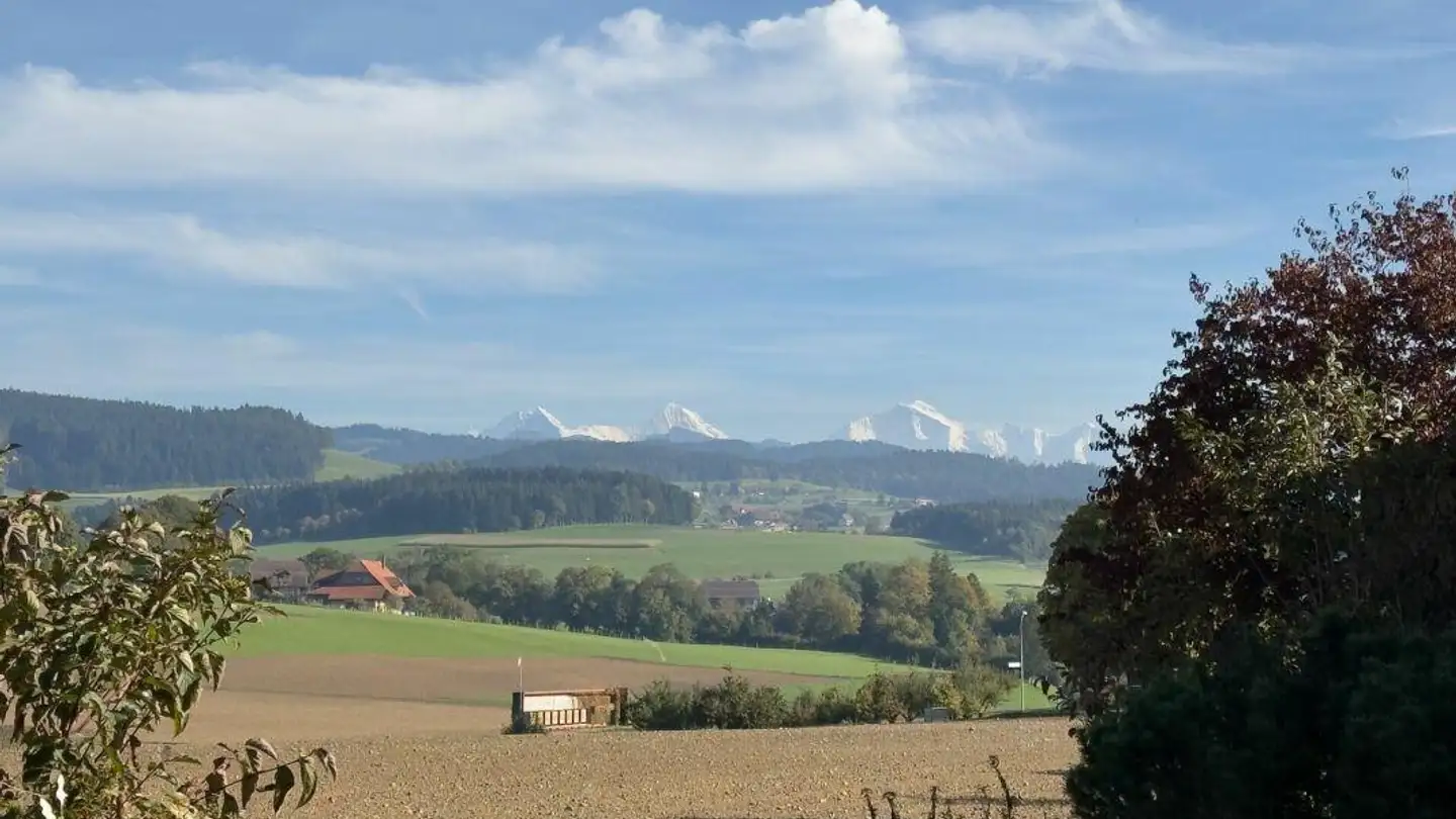 Single house for sale - Sonnhaldeweg, 3110 Münsingen - Photo 4