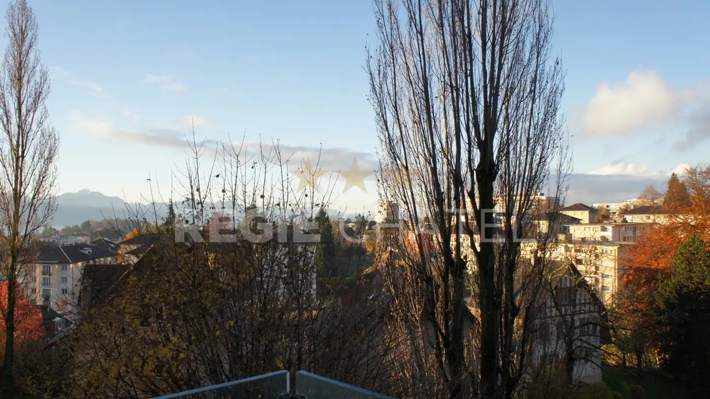 Appartamento in affitto - Avenue Du Temple 17, 1012 Lausanne - Foto 4