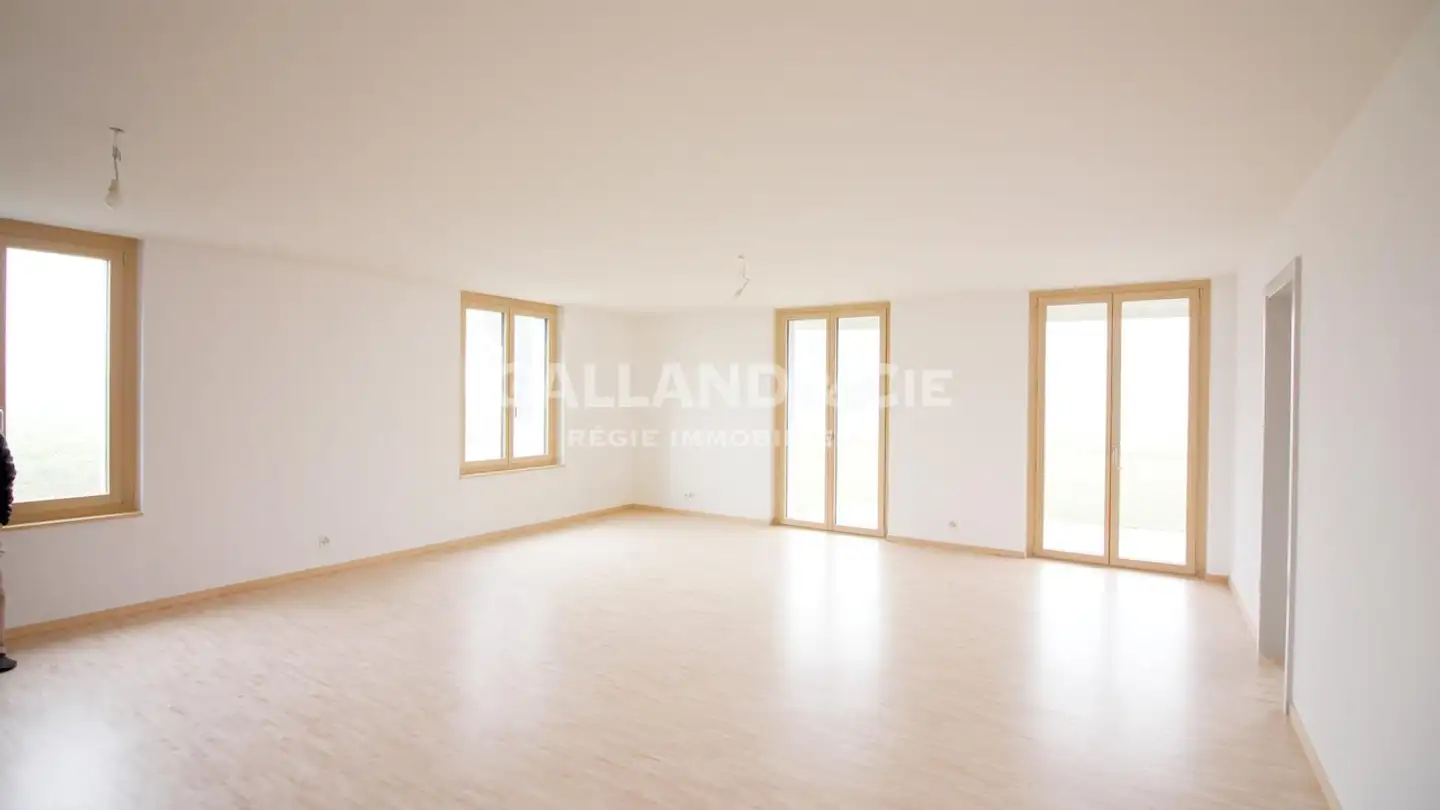 Wohnung mieten - Rue De La Laiterie 12, 1304 Allens - Foto 3