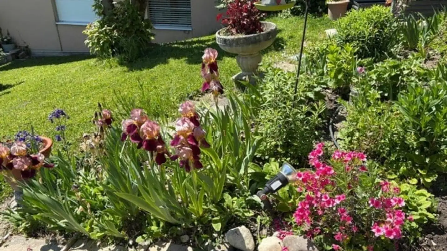 Appartamento in affitto - Chemin Du Rossillon 11, 1092 Belmont-sur-Lausanne - Foto 3