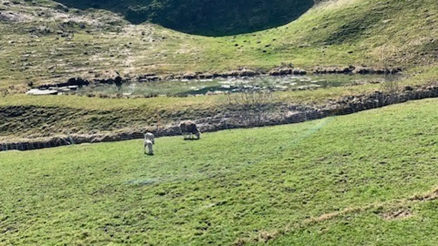 Single house for rent - Schletterstrasse 9, 9108 Gonten - Photo 3