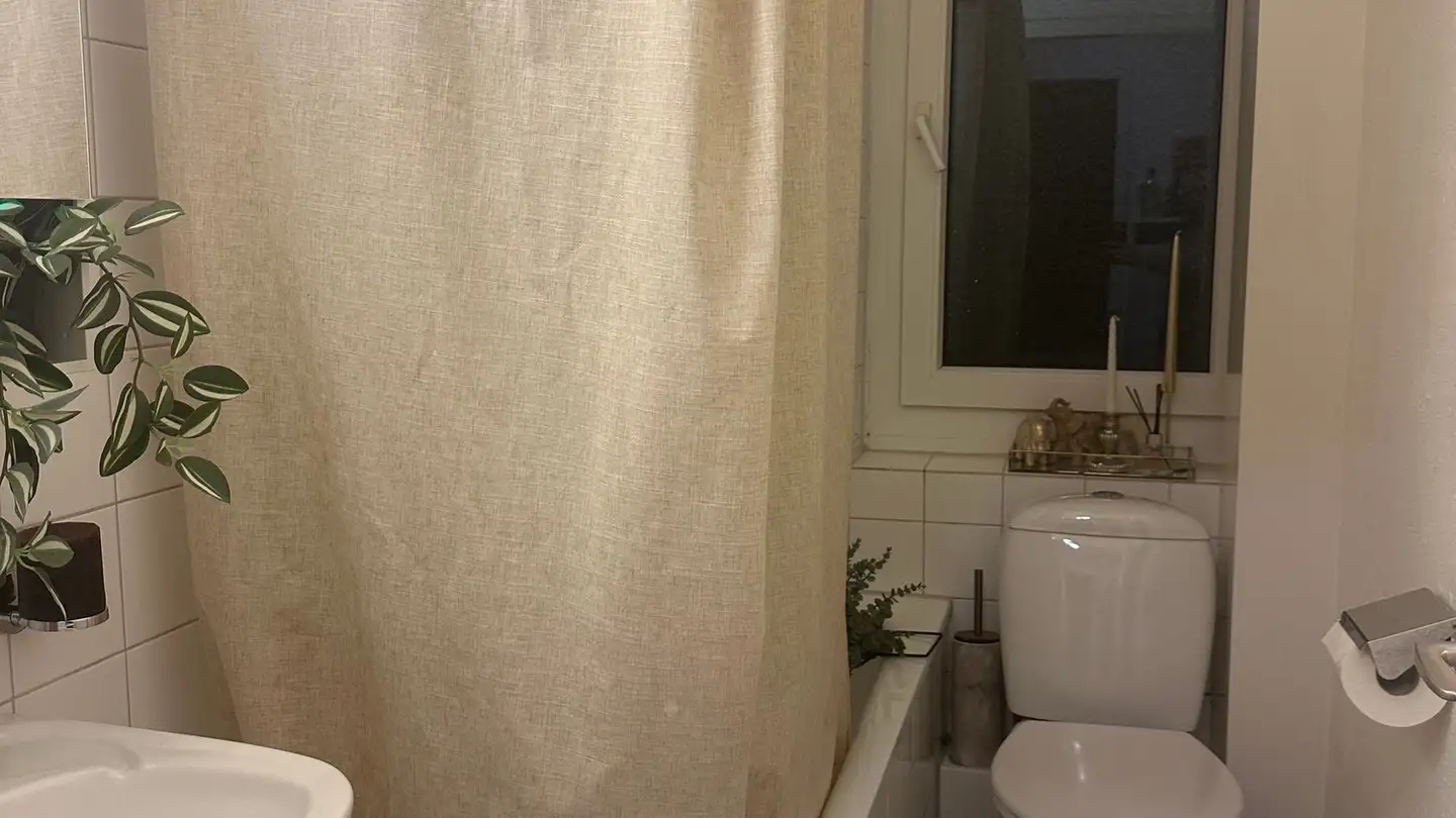 Apartment for rent - Schumacherweg 5, 8046 Zürich - Photo 4