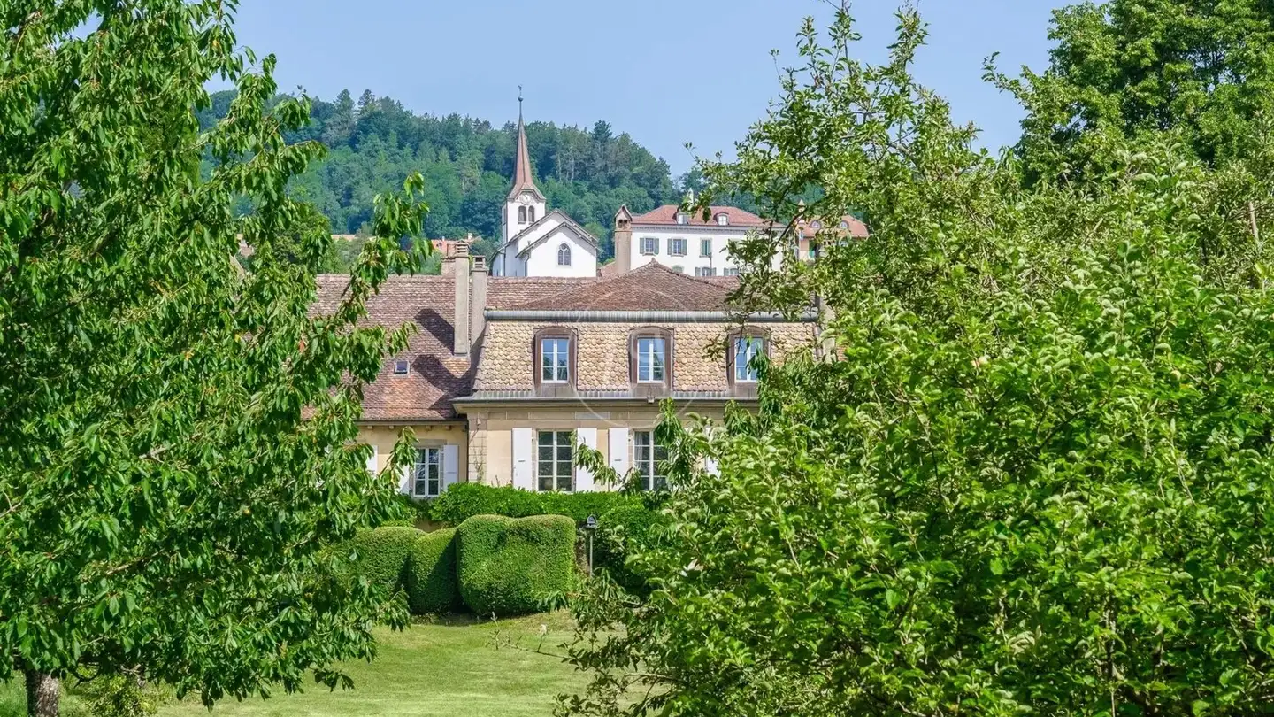 Schloss kaufen - 1173 Féchy