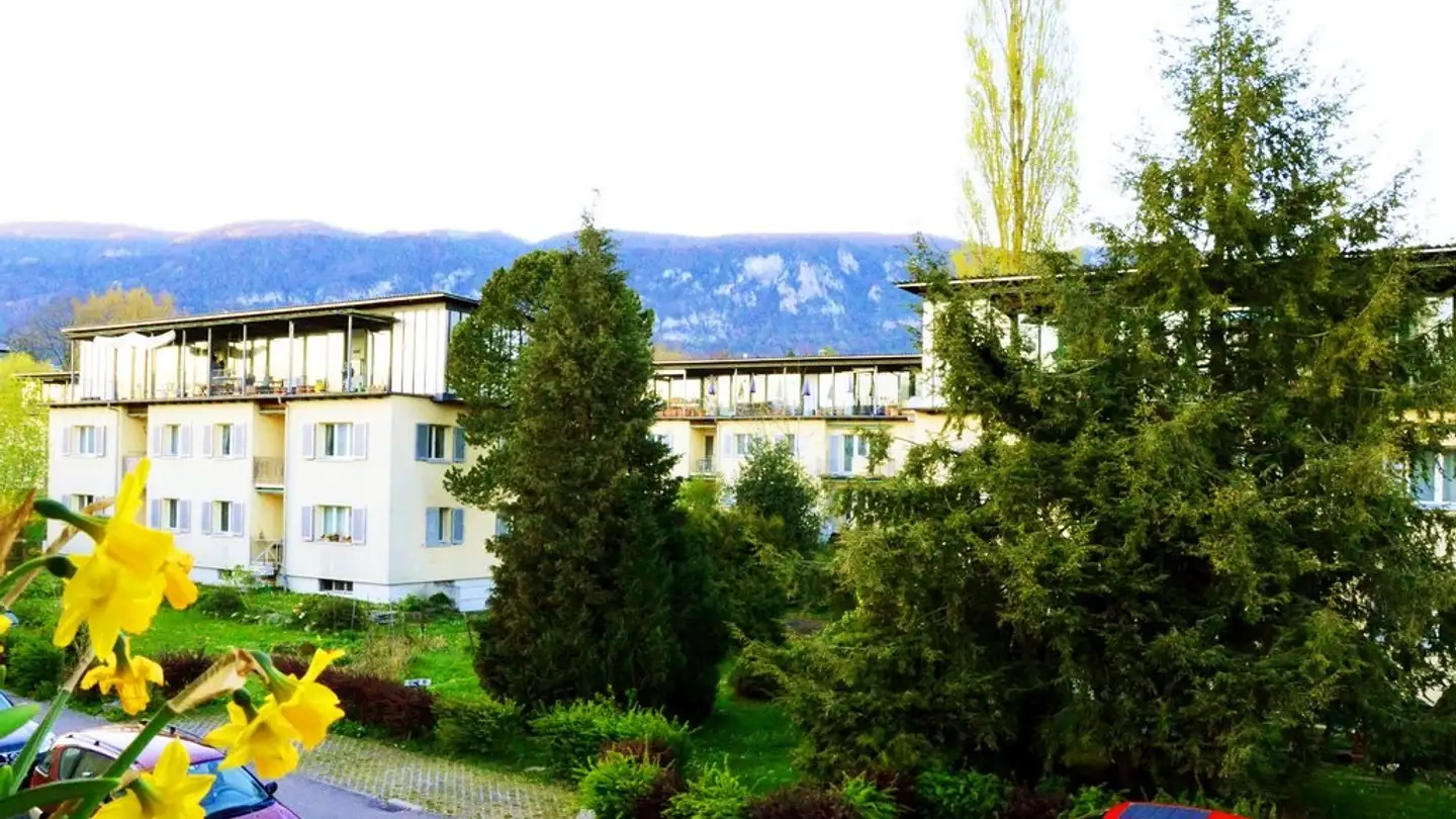 Apartment for rent - Amanz Gressly-Strasse 44, 4500 Solothurn