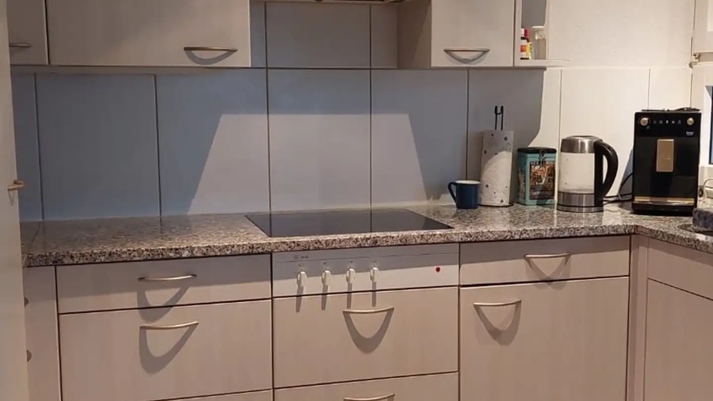 Single room for rent - 5415 Nussbaumen AG - Photo 2