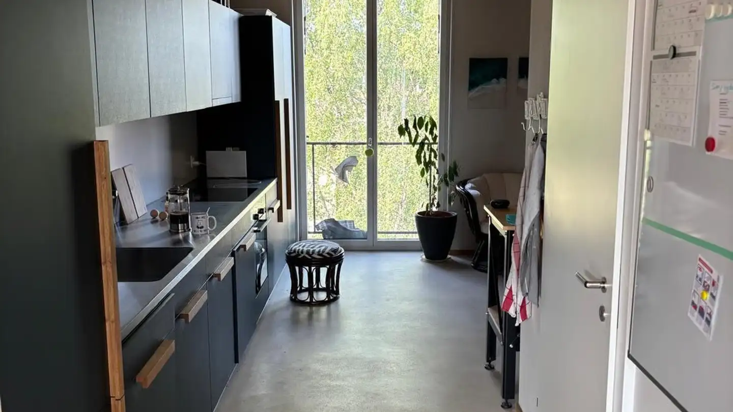 Apartment for rent - Wagenstrasse, 8200 Schaffhausen - Photo 3