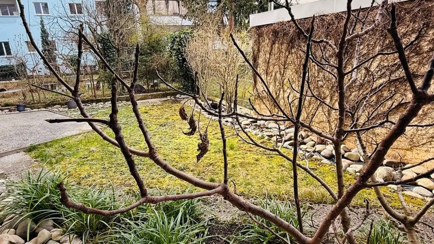 Appartement à louer - Klingelbergstrasse 7, 4056 Basel