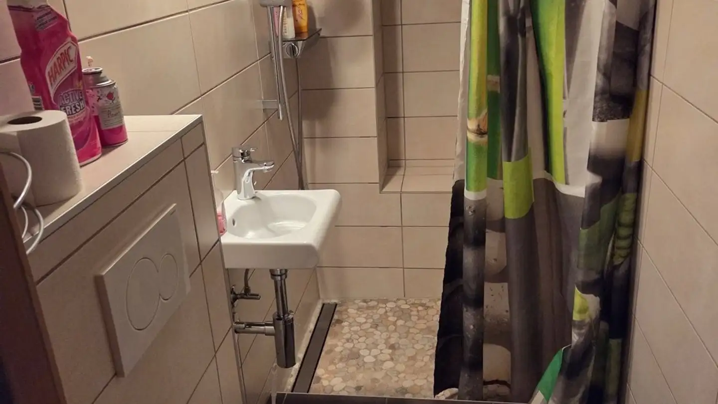 Appartement à louer - Route Des Bains 13, 1892 Lavey-les-Bains - Photo 2