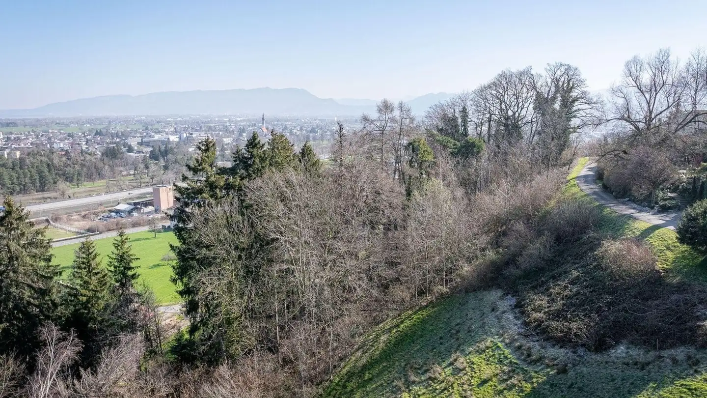 Terreno edificabile in vendita - Apfelbergstrasse, 9430 St. Margrethen SG - Photo 2