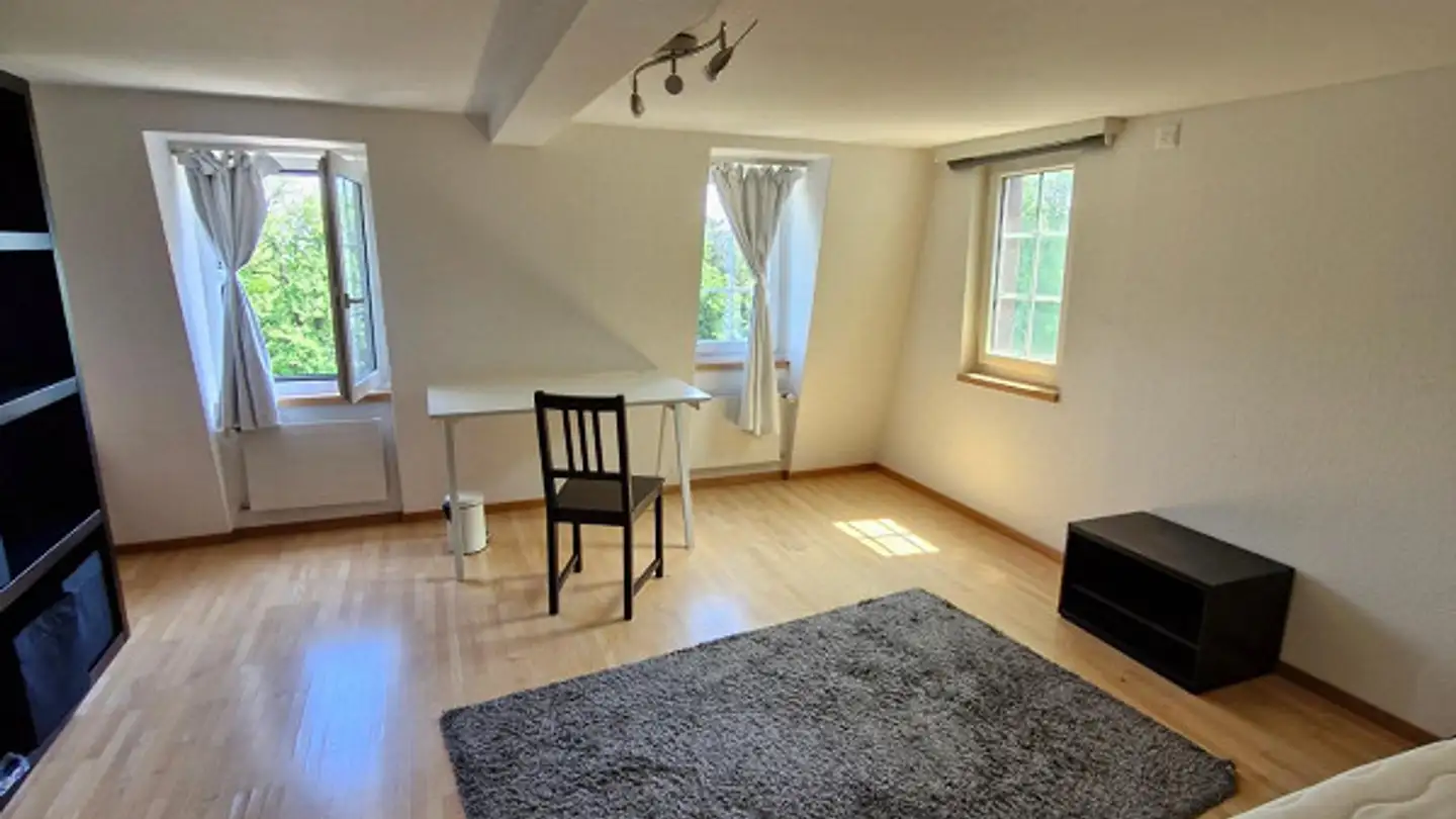 Appartement à louer - Brühlgasse 21, 9000 St. Gallen - Photo 2