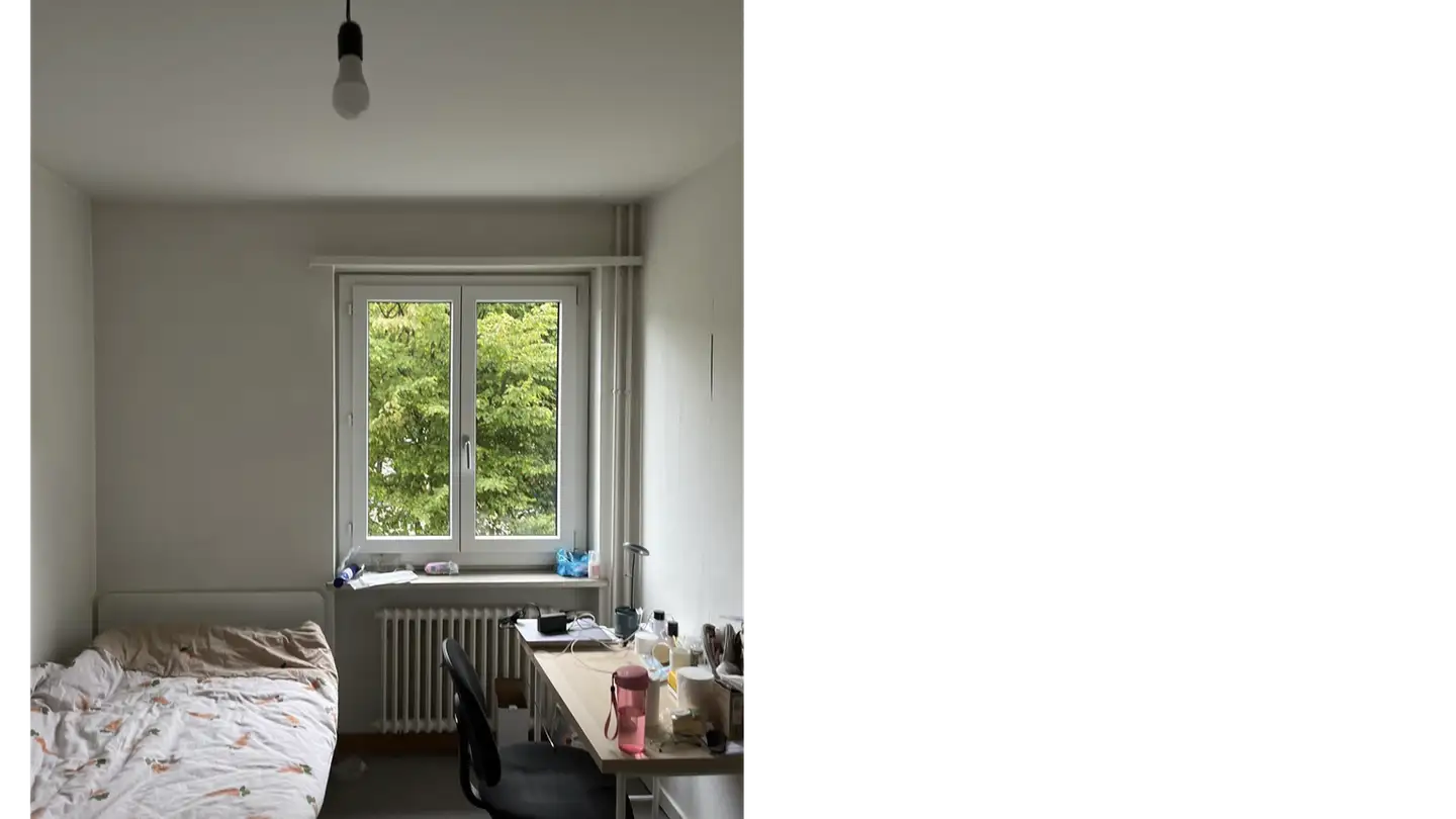 Appartamento in affitto - Altwiesenstrasse 97, 8051 Zürich