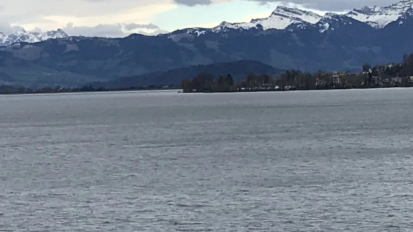 Stanza singola in affitto - 8805 Richterswil - Foto 4