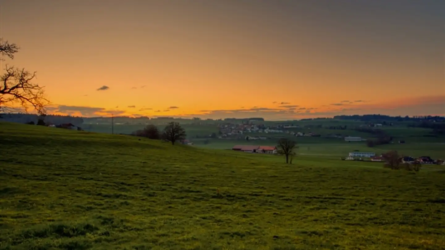 Appartement à vendre - Chemin En La Croix 2, 1676 Chavannes-les-Forts