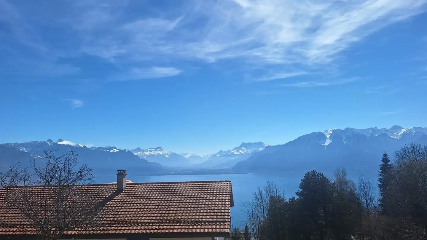 Stanza singola in affitto - 1800 Vevey - Foto 3