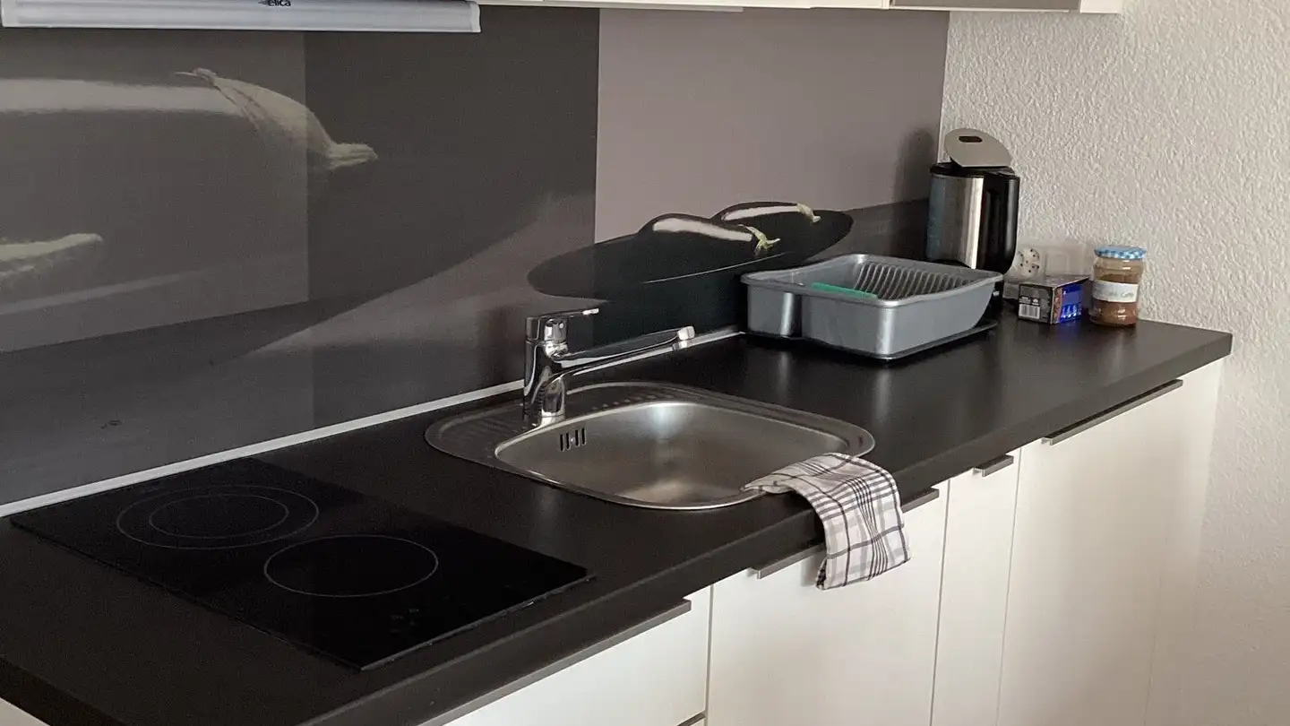 Appartement meublé à louer - Talweg 85, 8610 Uster - Photo 2