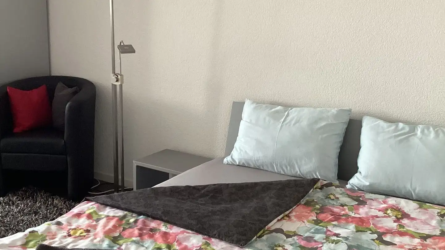 Appartement meublé à louer - Talweg 85, 8610 Uster - Photo 3