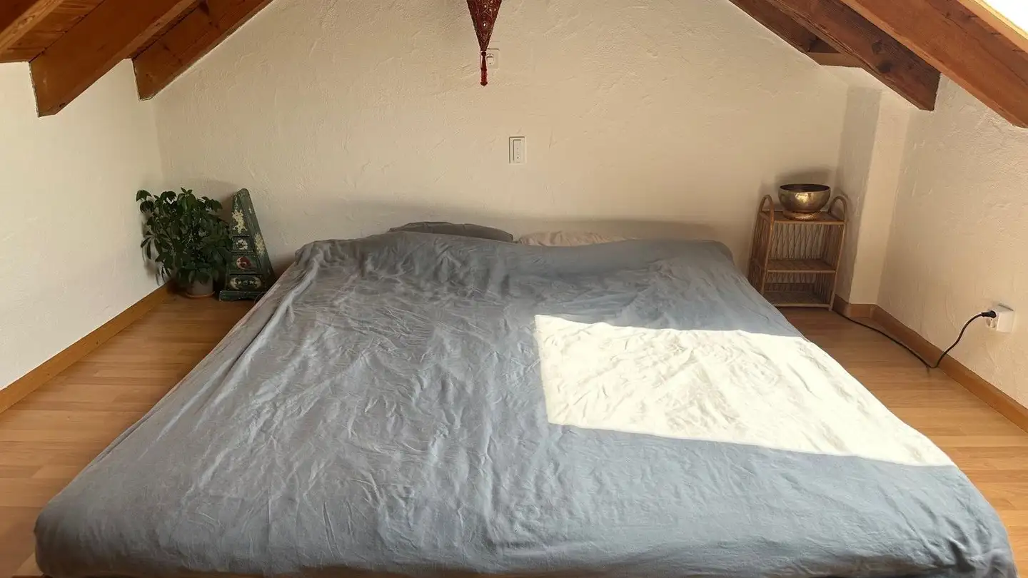 Attico in affitto - Eichenstrasse 25, 4054 Basel - Photo 4