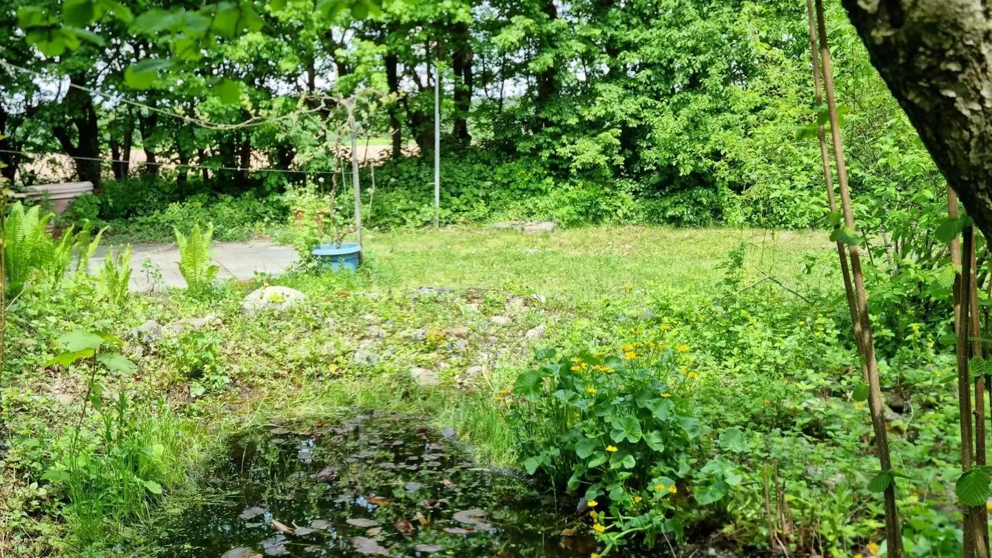 Fattoria in affitto - 8610 Uster - Photo 3