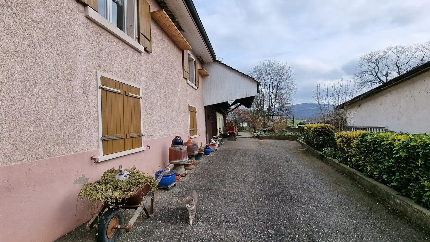 Ferme à vendre - Hauptstrasse 5, 4224 Nenzlingen - Photo 4