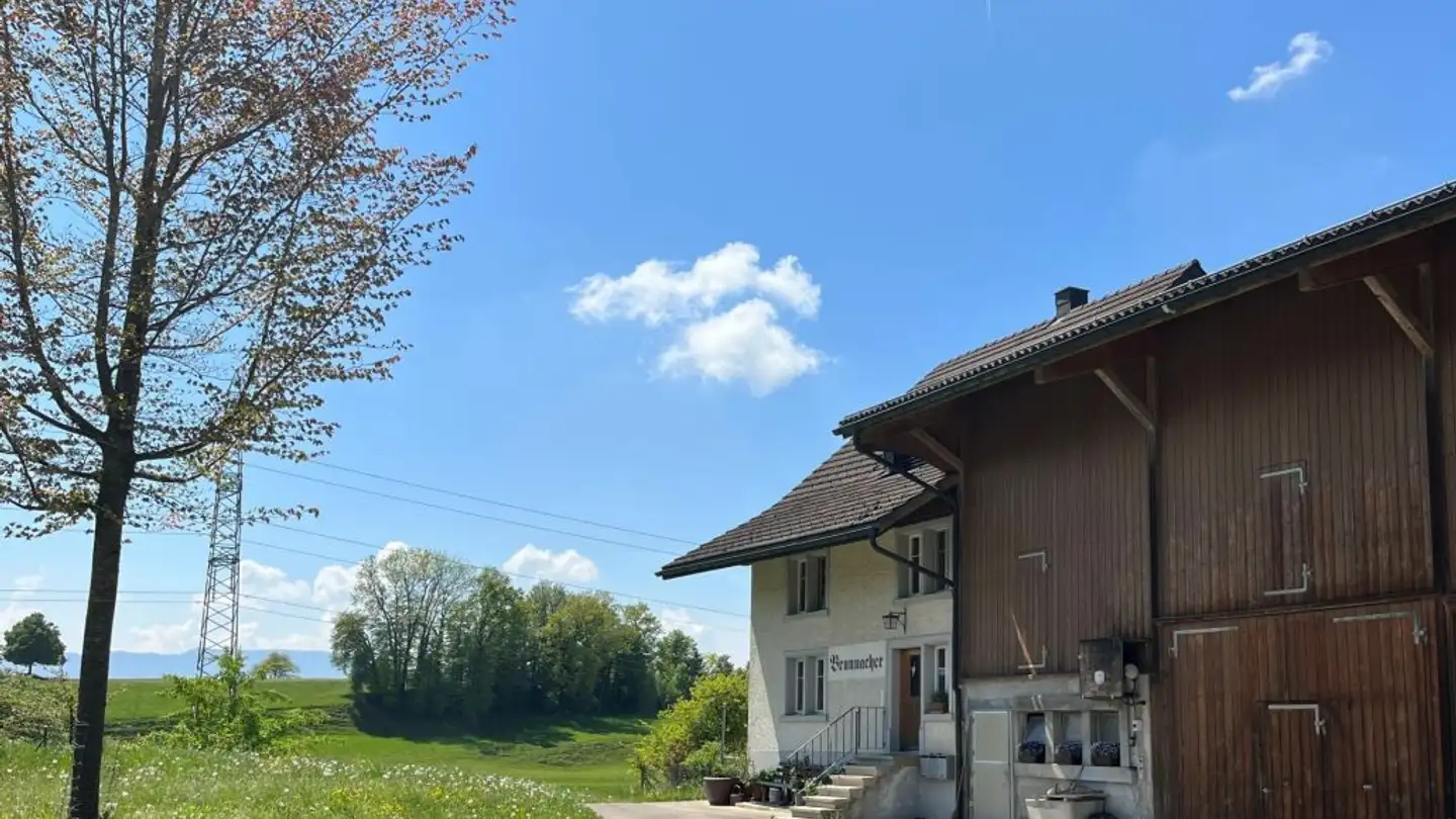 Duplex in affitto - Brunnacher 1, 8627 Grüningen - Photo 2