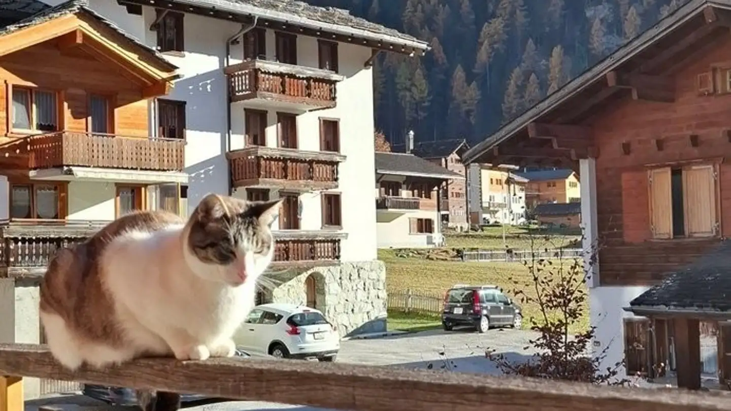Zimmer mieten - Rue De La Chapelle 38, 1984 Les Haudères - Foto 2