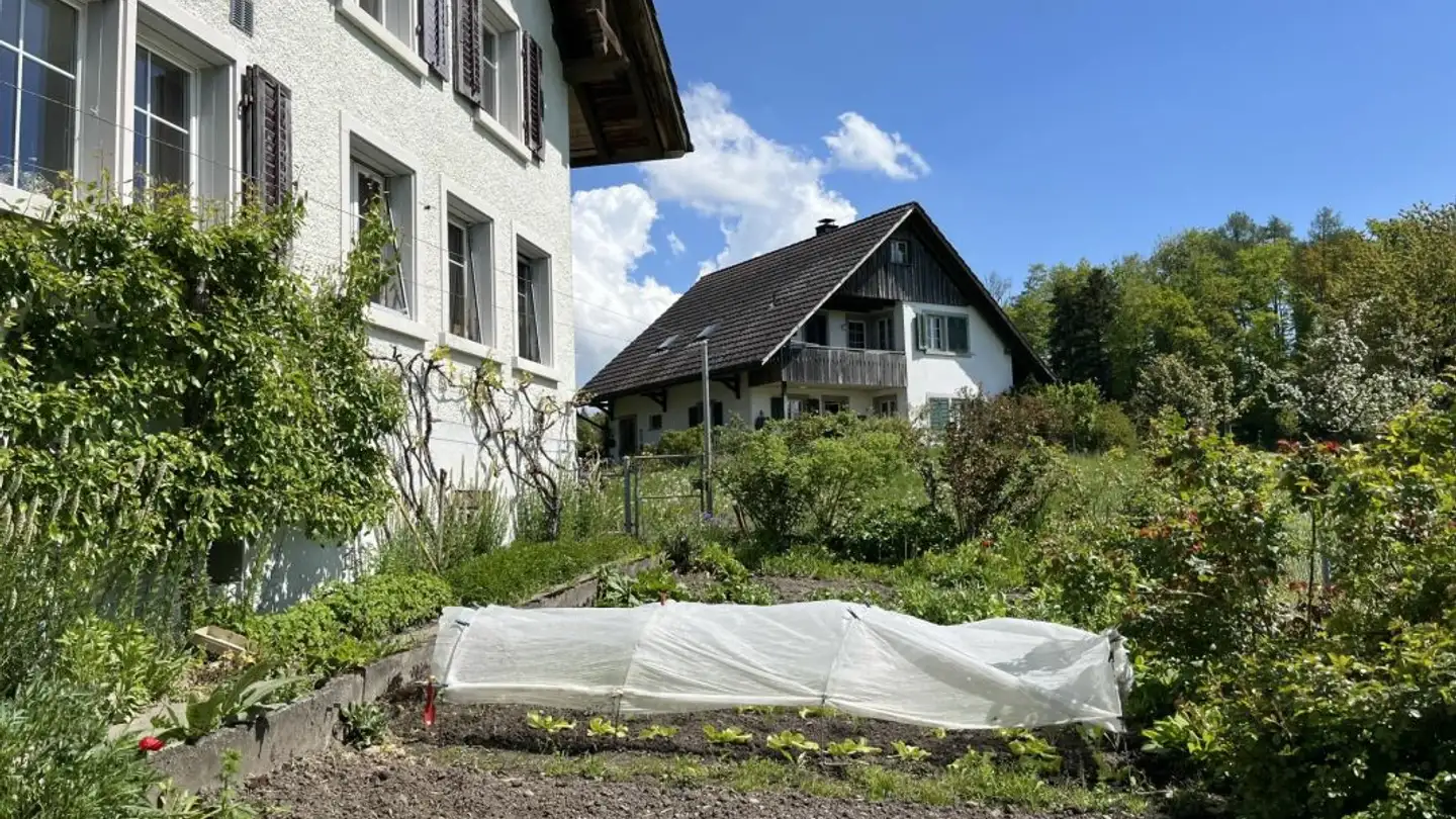 Duplex in affitto - Brunnacher 1, 8627 Grüningen - Photo 3