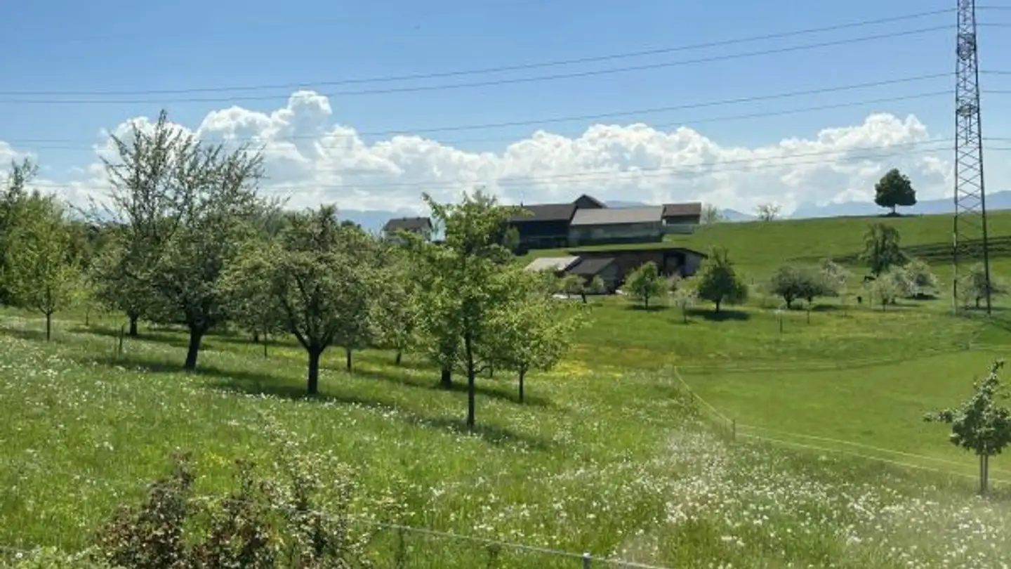 Duplex in affitto - Brunnacher 1, 8627 Grüningen - Photo 4