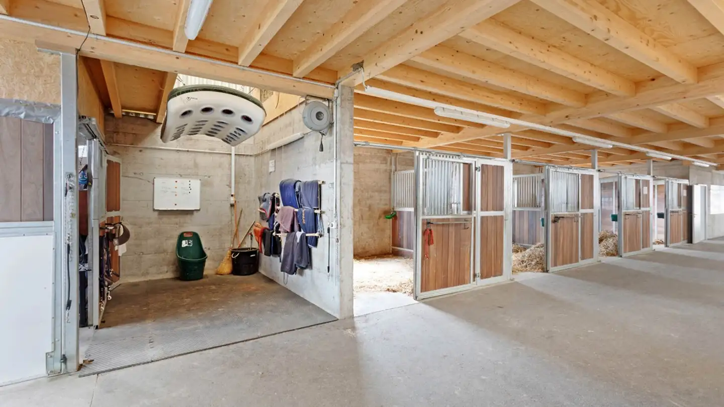 Maison individuelle à vendre - Avenue Des Bains, 1400 Yverdon-les-Bains - Photo 3