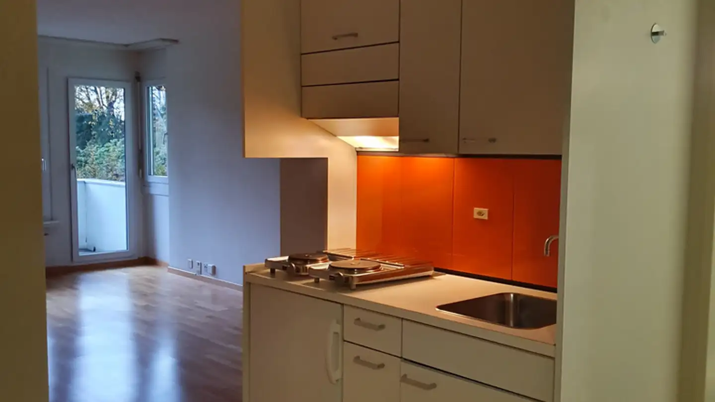 Apartment for rent - Zürichbergstrasse 114, 8044 Zürich - Photo 4