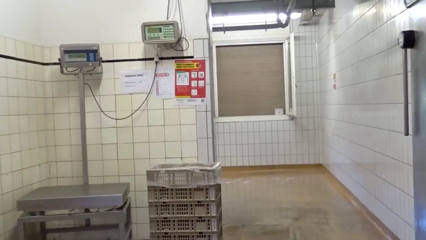 Commercial à vendre - 1530 Payerne