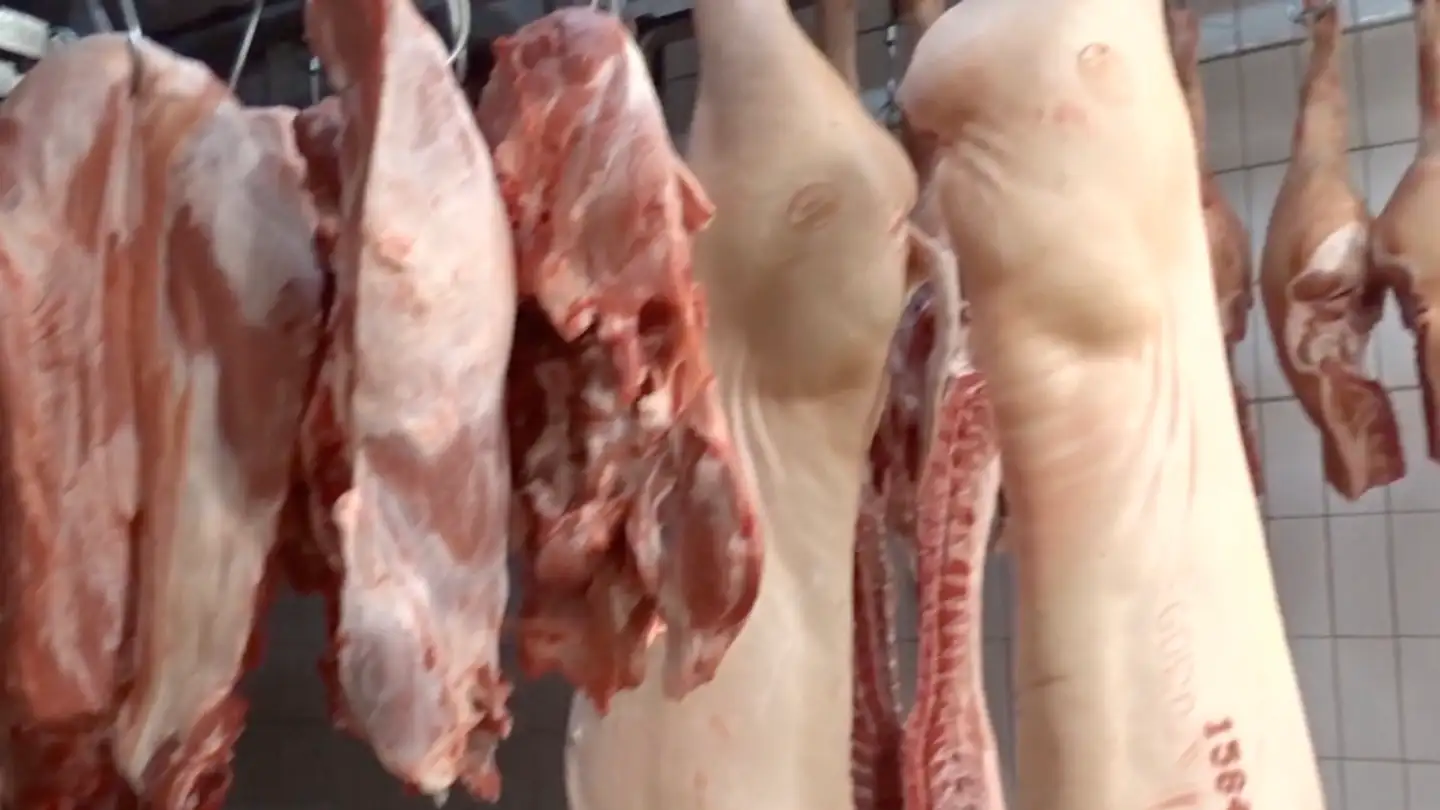 Bureau à vendre - 1530 Payerne - Photo 3