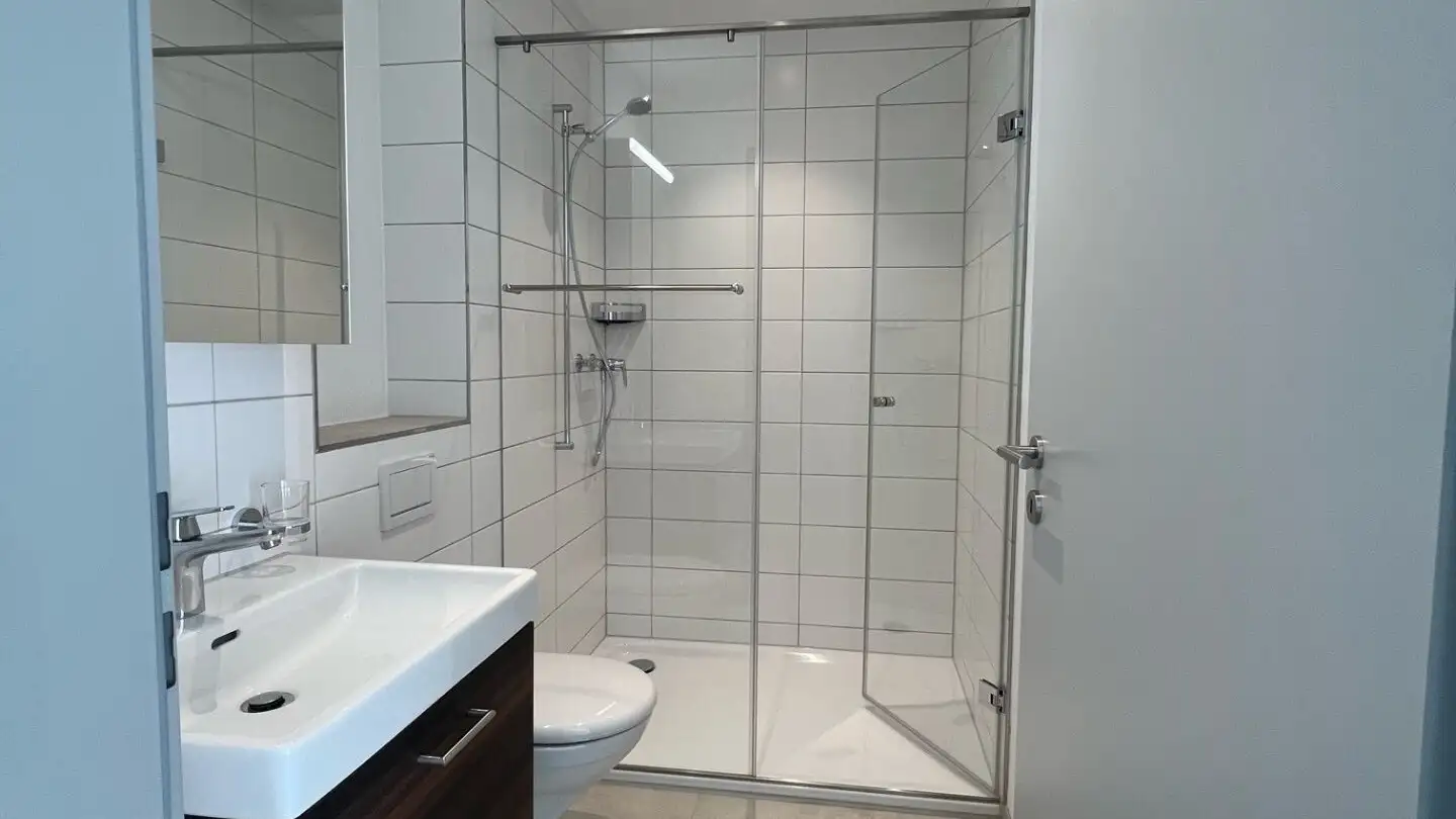 Appartamento in affitto - Sommerhaldenstrasse, 5200 Brugg AG - Foto 3