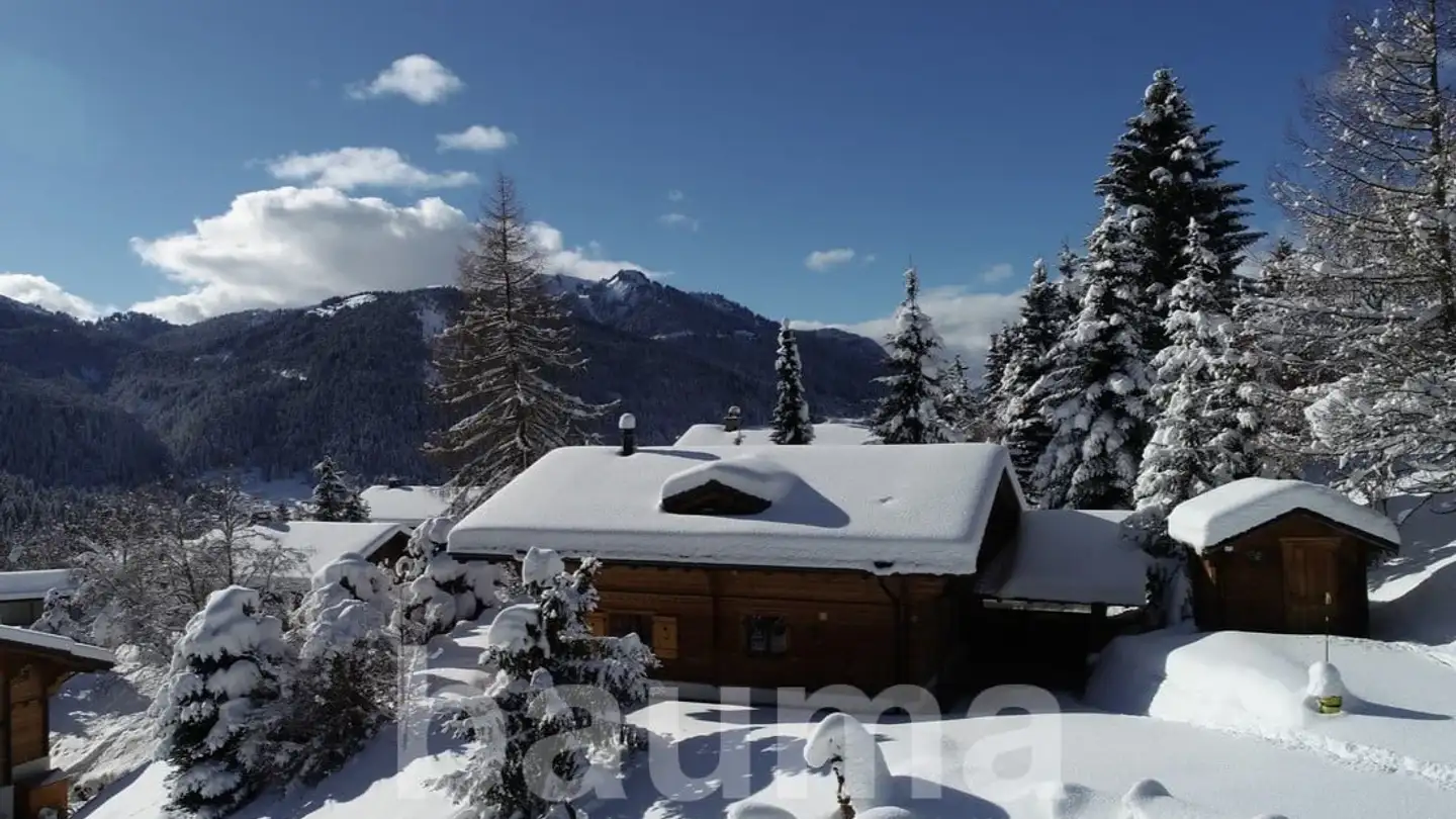 Chalet kaufen - Les Diablerets, 1865 Les Diablerets