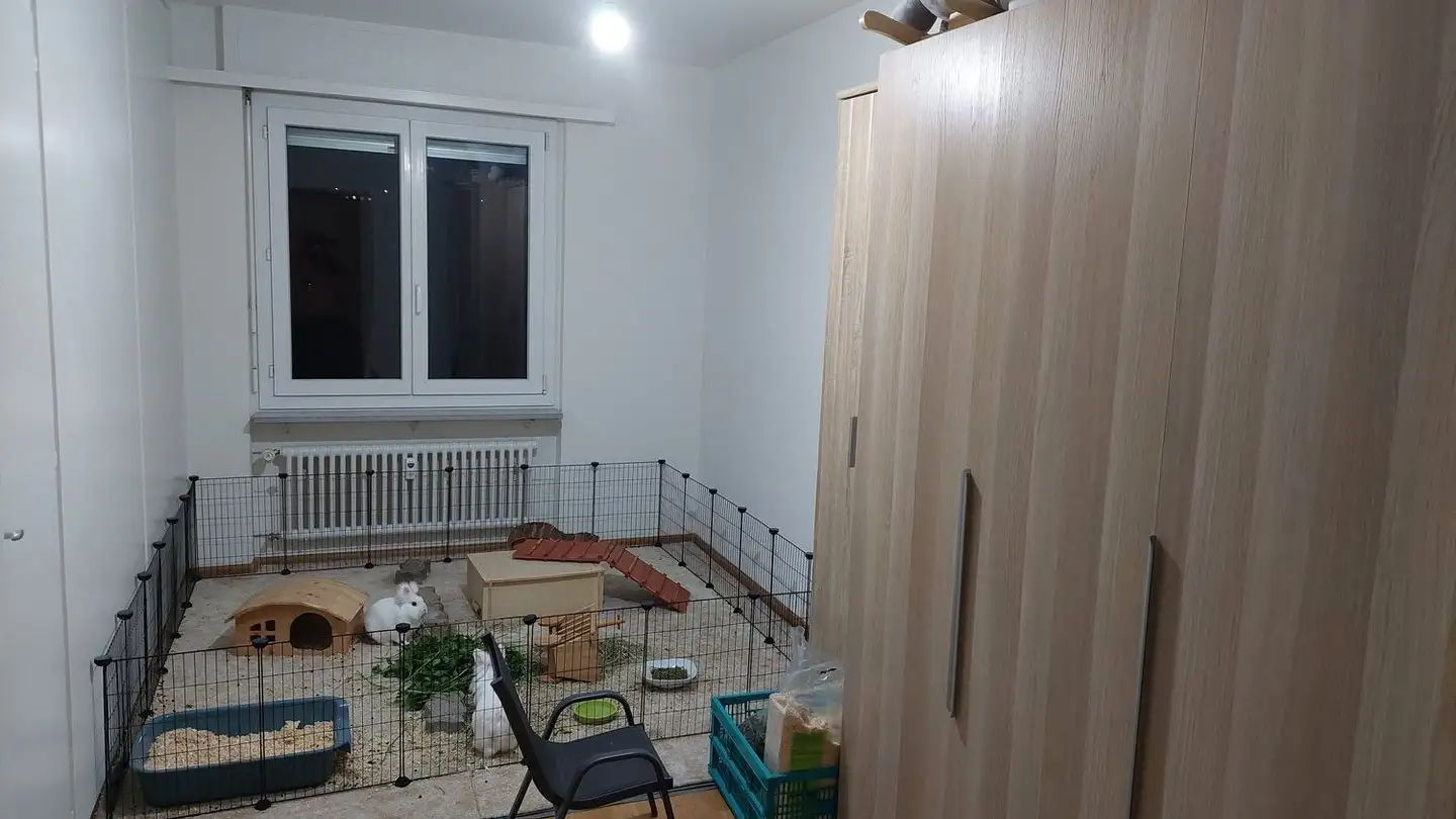 Appartement à louer - Felsenacker 2, 4203 Grellingen - Photo 3