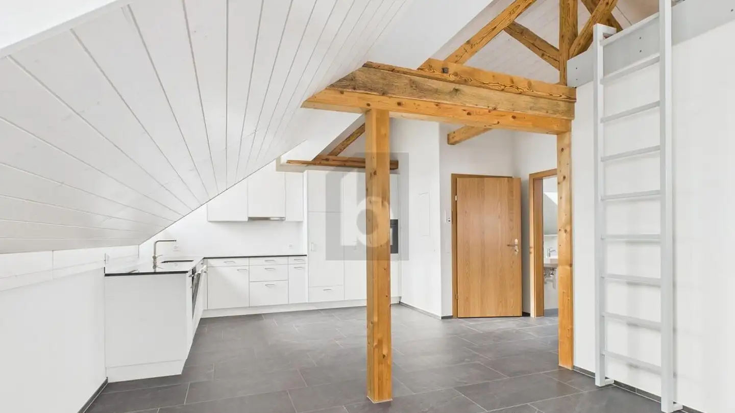 Attic flat for rent - 5525 Fischbach-Göslikon