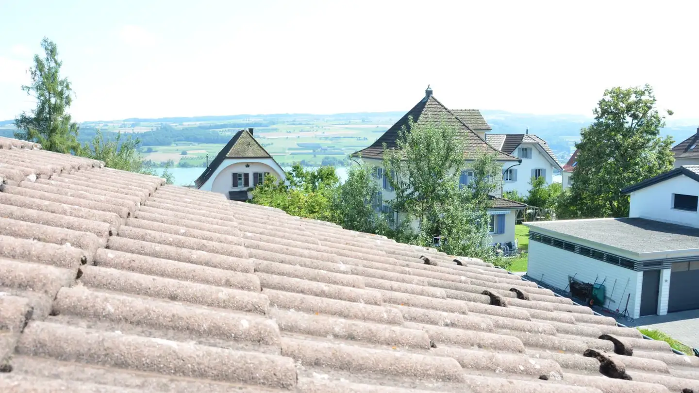 Single house for sale - Vorderbühlstrasse 4, 5712 Beinwil am See - Photo 3