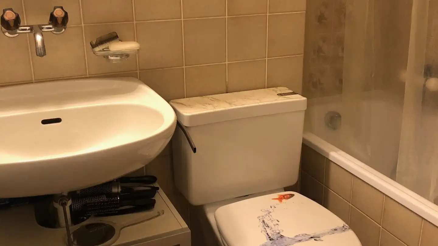 Single room for rent - Laufenstrasse, 4053 Basel - Photo 4