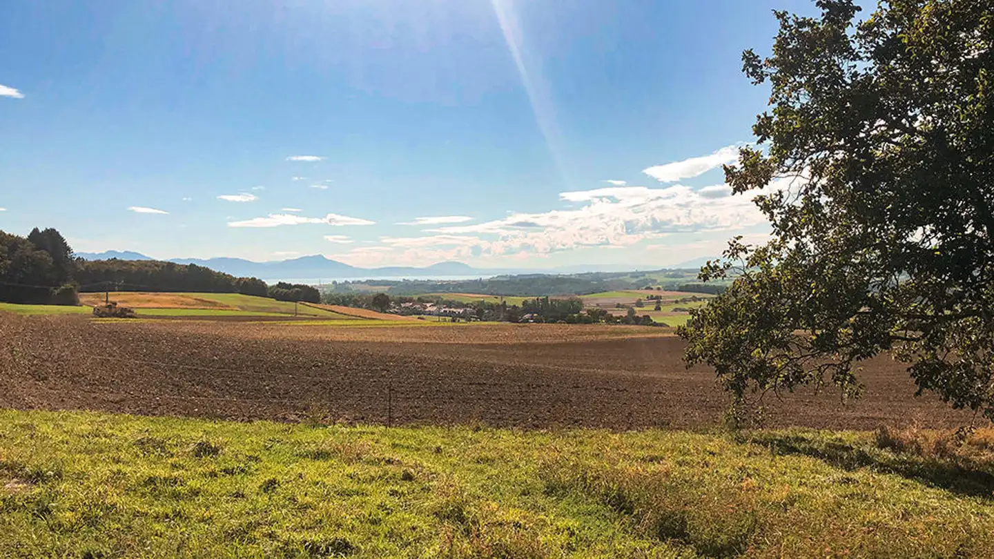 Appartement à vendre - 1036 Sullens - Photo 2