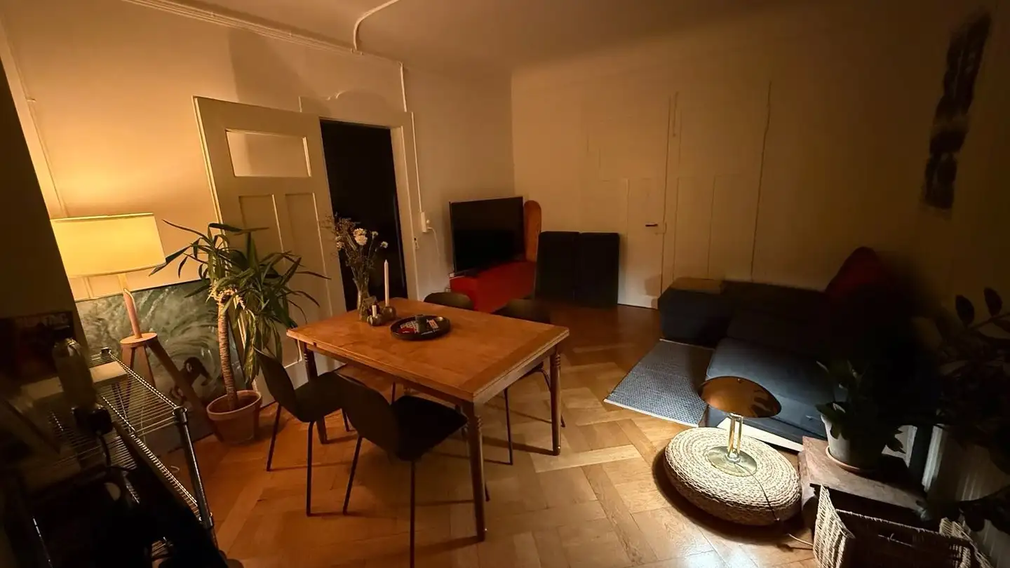 Single room for rent - 8001 Zürich