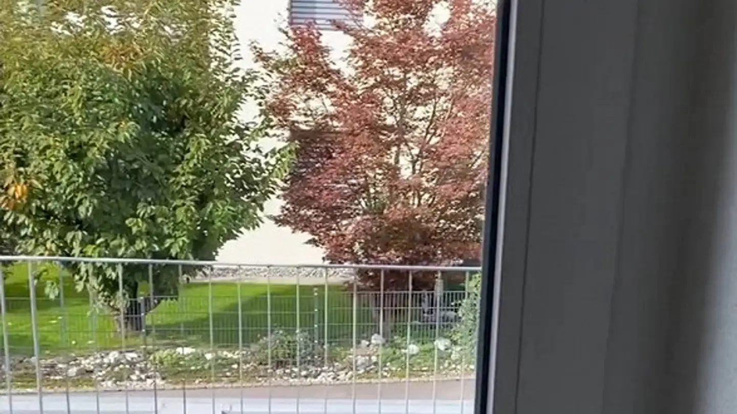 Apartment for rent - Oberfahrstrasse 4, 9434 Au SG - Photo 4