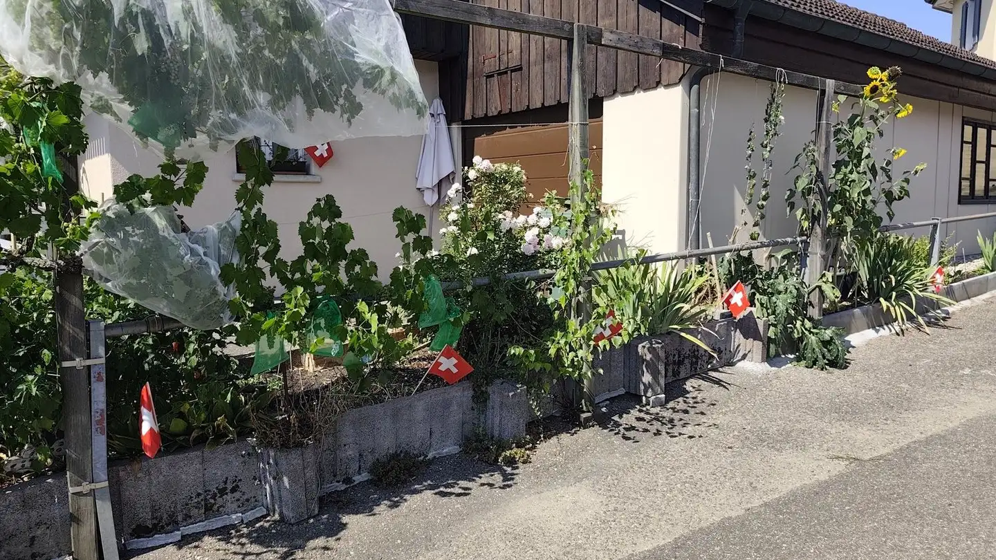 Casa singola in affitto - Käsereistrasse 2, 9562 Buch b. Märwil - Foto 3