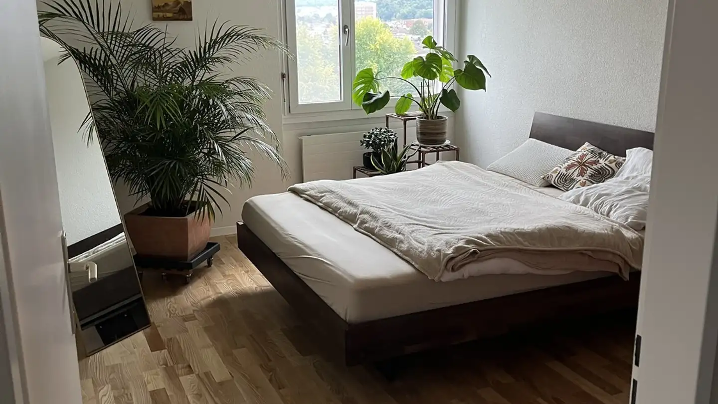 Single room for rent - 8953 Dietikon