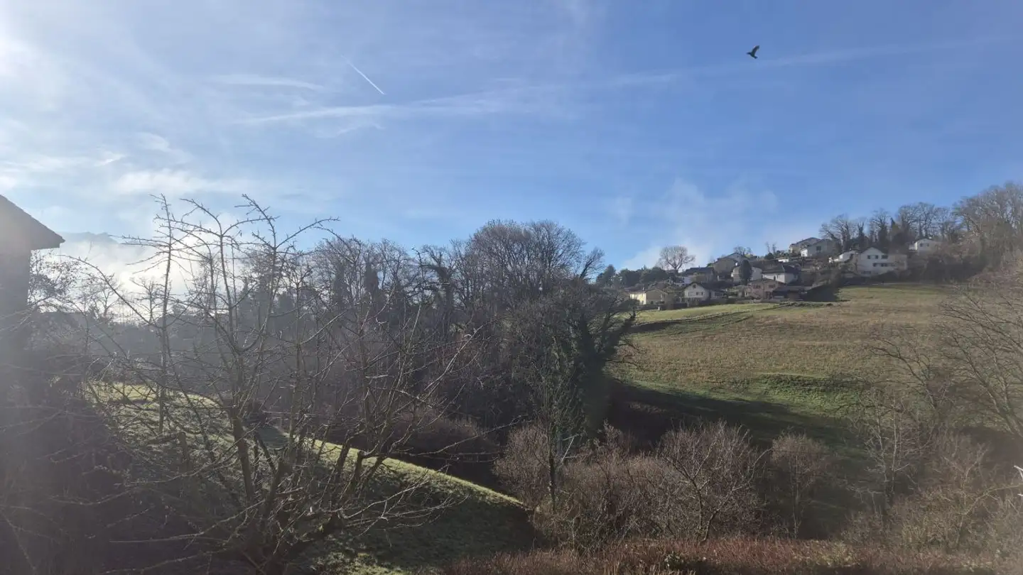 Wohnung mieten - 1071 Chexbres