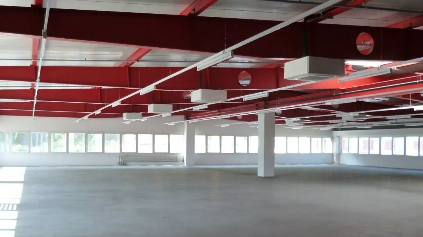 Grande magazzino in vendita - Ala Campagna 2, 6593 Cadenazzo - Photo 2