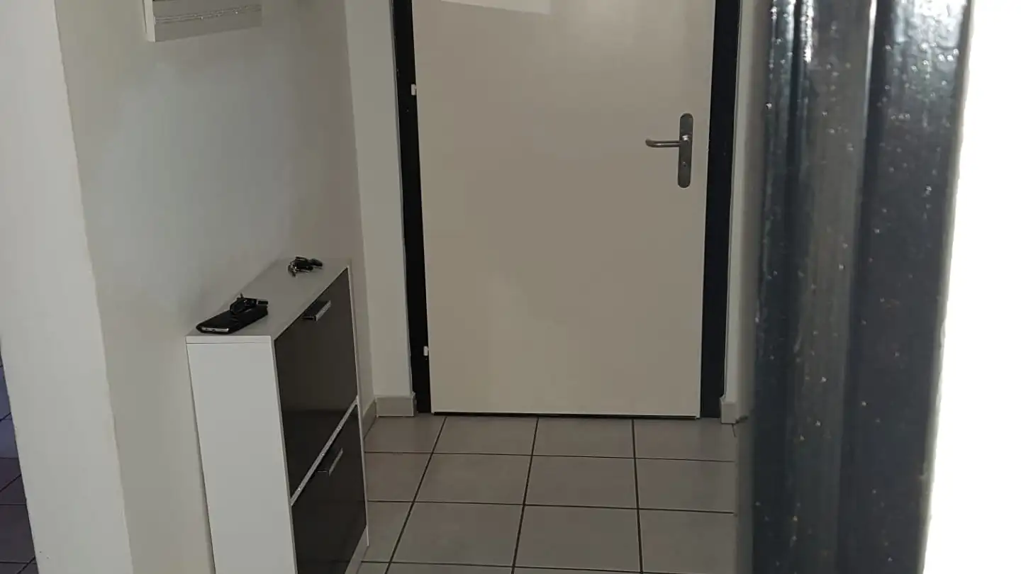 Appartement à vendre - 6527 Lodrino - Photo 4