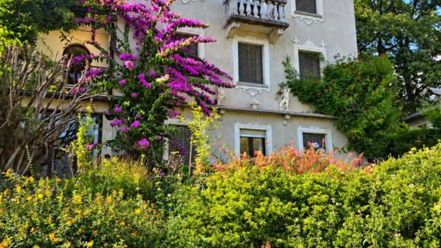Villa à vendre - Via Collinetta 11, 6612 Ascona - Photo 2