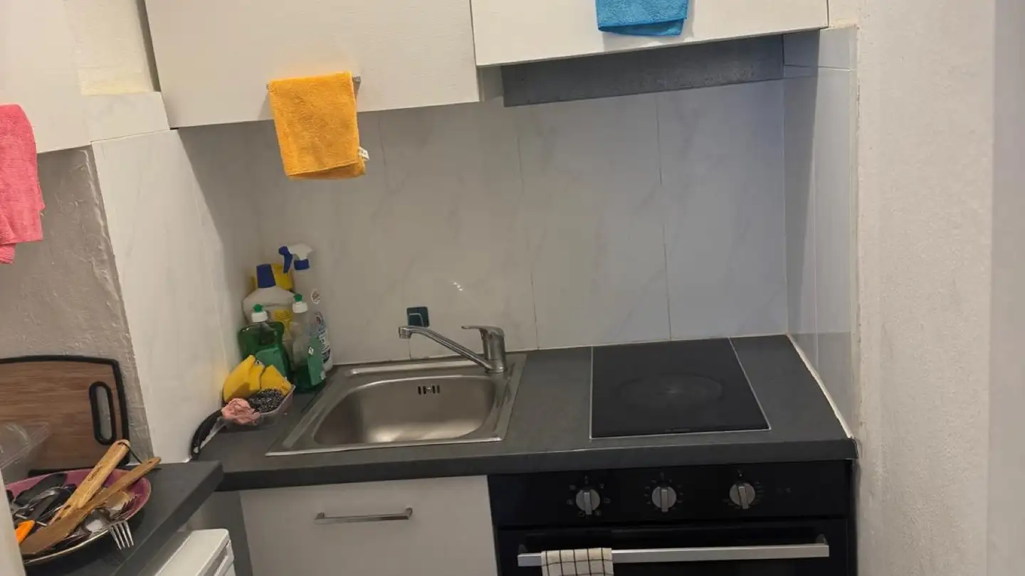 Apartment for rent - Via Ponte Vecchio 28, 6807 Taverne - Photo 4